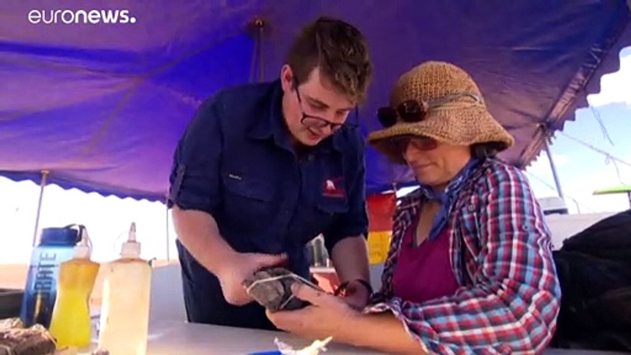 Australotitan - Der größte Saurier des Kontinents