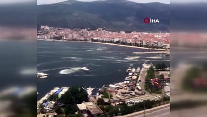 Gemlik körfezindeki müsilaj istilası vatandaş kamerasında