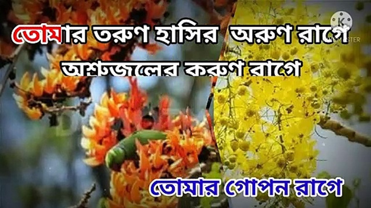 Rangiye Diye Jao | Rabindra Sangeet | Karaoke with Lyrics | রাঙিয়ে দিয়ে যাও