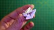 Demo money origami squirrel Design by Jo Nakashima