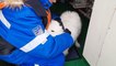 فيديو | إنقاذ كلب صغير تقطعت به السبل وسط جليد سيبيريا