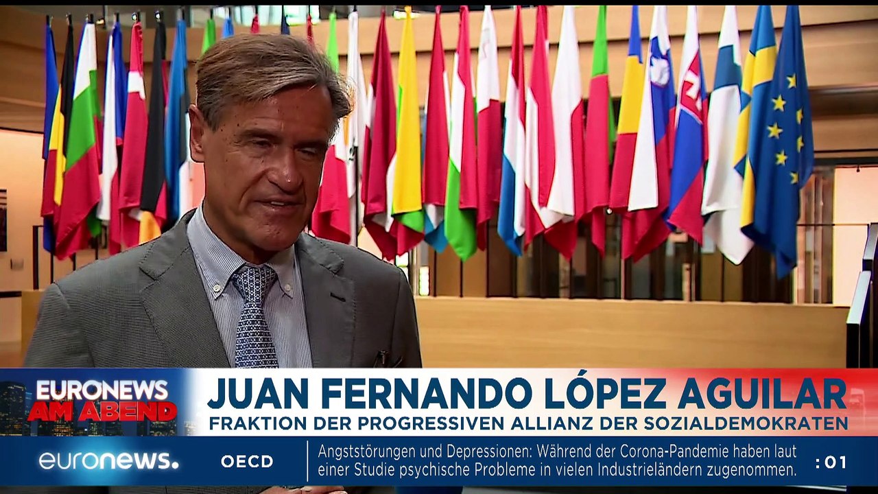 Das Urteil gegen Mladic - Euronews am Abend 08.06.