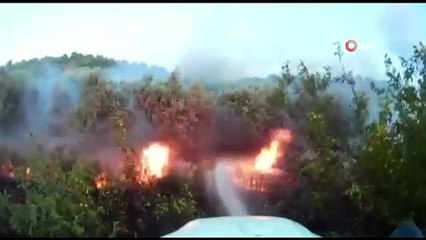 Bahçe ve anız yangınlarını itfaiye söndürdü