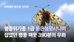 [권혁재 핸드폰사진관]   멸종위기종 Ⅰ급 붉은점모시나비, 접었던 병풍 펴듯 390분 날개 펴기