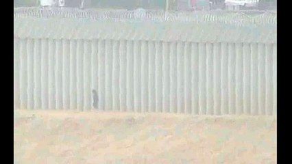 Niña guatemalteca de 5 años abandonada cerca de San Diego, California.