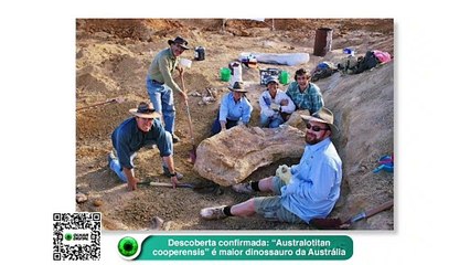Descoberta confirmada- “Australotitan cooperensis” é maior dinossauro da Austrália-