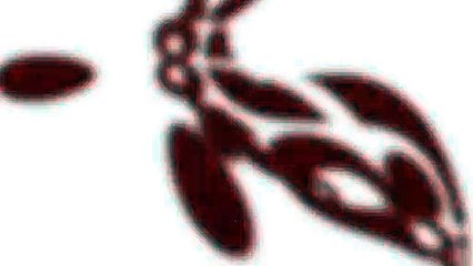 ¡GOLAZO! ¡Qué definición increíble!