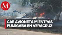 Cae una avioneta en Veracruz mientras fumigaba campos de maíz