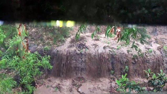 Vecinos de Nimajuyú denuncian que tala de arboles provoca inundaciones