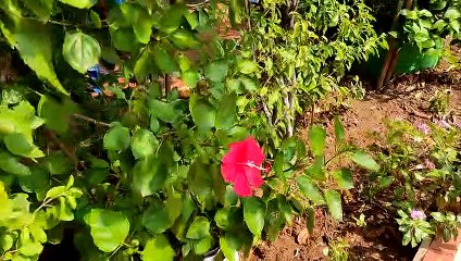 Ramakrishna Math 2 Overview