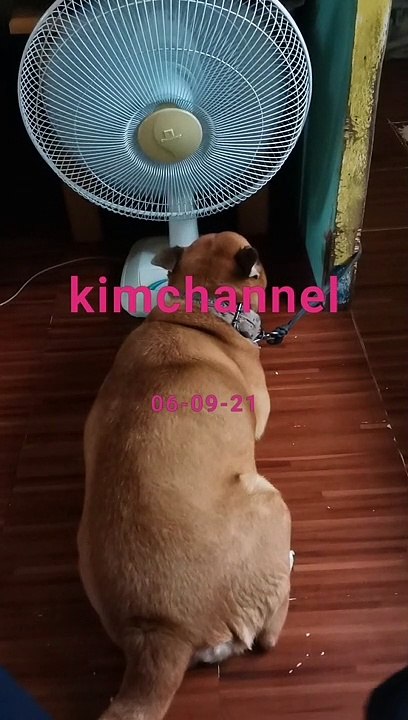 Init Na Init Ka Girl???  