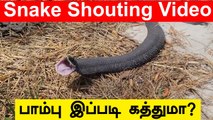 மனிதனைப் போல கத்தும் Snake Video பின்னணி | Telangana Snake Shouting Video | Oneindia Tamil