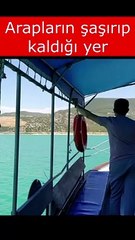 Arapların şaşırıp kaldığı yer #shorts #ortakpayda #aydın