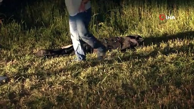 Esenyurt'ta dehşete düşüren olay...İş arkadaşını öldürüp kuyuya attı