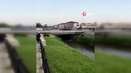 Kanala düşen köpek için seferber oldular