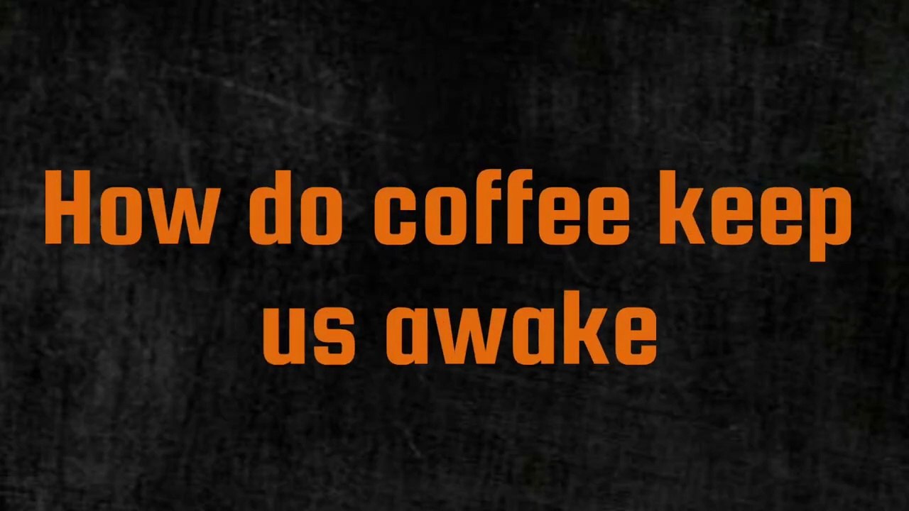 How does coffee keep you awake Science Education video Dailymotion