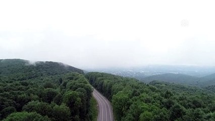 KIRKLARELİ - Istranca ormanlarını saran sisin büyüleyici güzelliği ilgi gördü