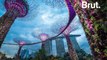 Singapour : les Jardins de la Baie