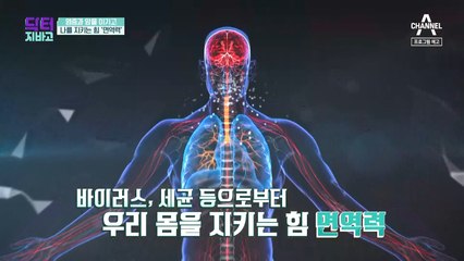[예고] 나를 지키는 힘 '면역력'! 그 방법은?