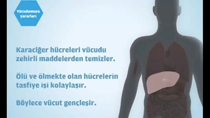Oruç tutunca vücudumuza neler oluyor? İzleyin...