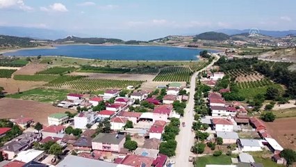 BİLECİK - Şeftali üreticisi kaliteyi artırmak için ağaçlarda 'tekleme' yapıyor