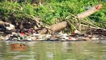 Pulau Sampah Di Pesisir Utara Muara Cisadane - Terbenam Di Lautan Sampah - BERKAS KOMPAS (1)