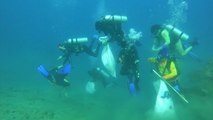 Penyelam di Gorontalo Gelar Aksi Bersih Sampah Plastik di Bawah Laut