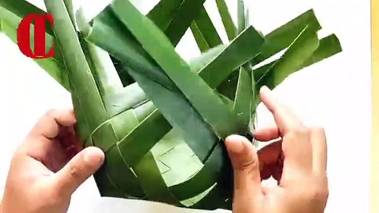 coconut basket