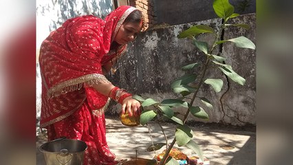 Vat Savitri Vrat 2021: वट सावित्री अमावस्या पर शनि का वक्री चाल, क्या ये स्थिति शुभ | Boldsky