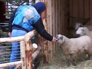 europa park le 05 janvier 2009