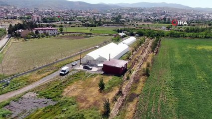 Bu sera hem öğretiyor, hem de ata tohumu çoğaltıyor