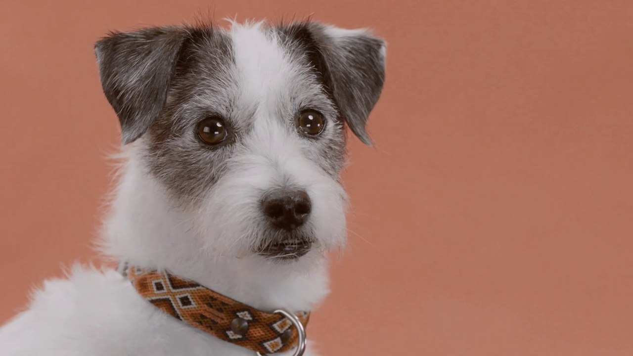 Lupin - S01 Rückblick Teil 1 (Deutsche UT) HD