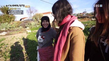 세계테마기행 - Themes Around the World_북대서양 탐험- 매혹의 모로코_#003