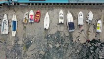 Nuevas imágenes submarinas del manto de moco que se extiende por el mar de Mármara