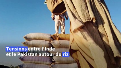 Le riz basmati sème la discorde entre l'Inde et le Pakistan