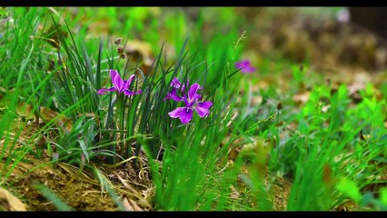 Party Background Music ~~ Clean With me. Enjoy Party Back Ground music