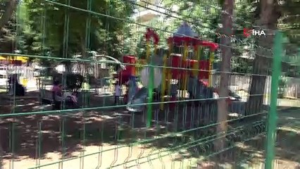 Mahalle muhtarı, çocuklar için mini hayvanat bahçesi yaptı