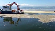 KOCAELİ - İzmit Körfezi'nde müsilaj temizleme çalışmaları devam ediyor