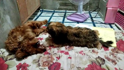 Mallows & Ali