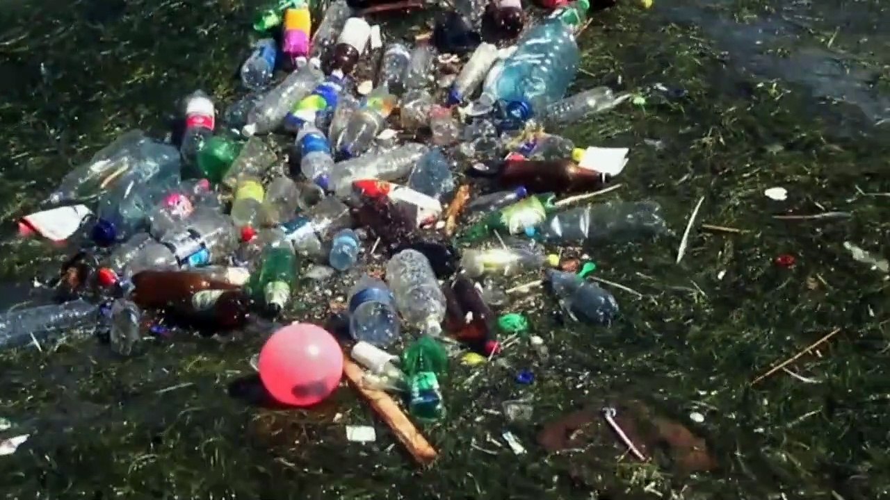 Día Mundial de los Océanos: iniciativas para la...
