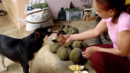 เรื่องพลบค่ำ ช่วงที่ 1 วันพุธที่ 9 มิ.ย.64