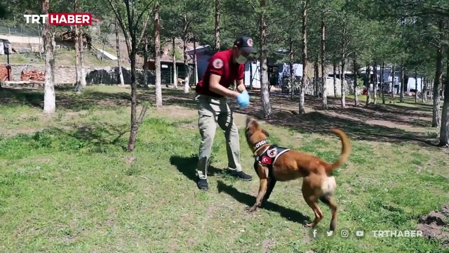 Zehir tacirlerinin korkulu rüyası, ekiplerin en büyük yardımcısı