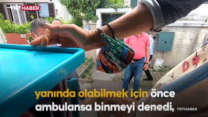 Vefalı köpek fenalaşan sahibini bırakmadı