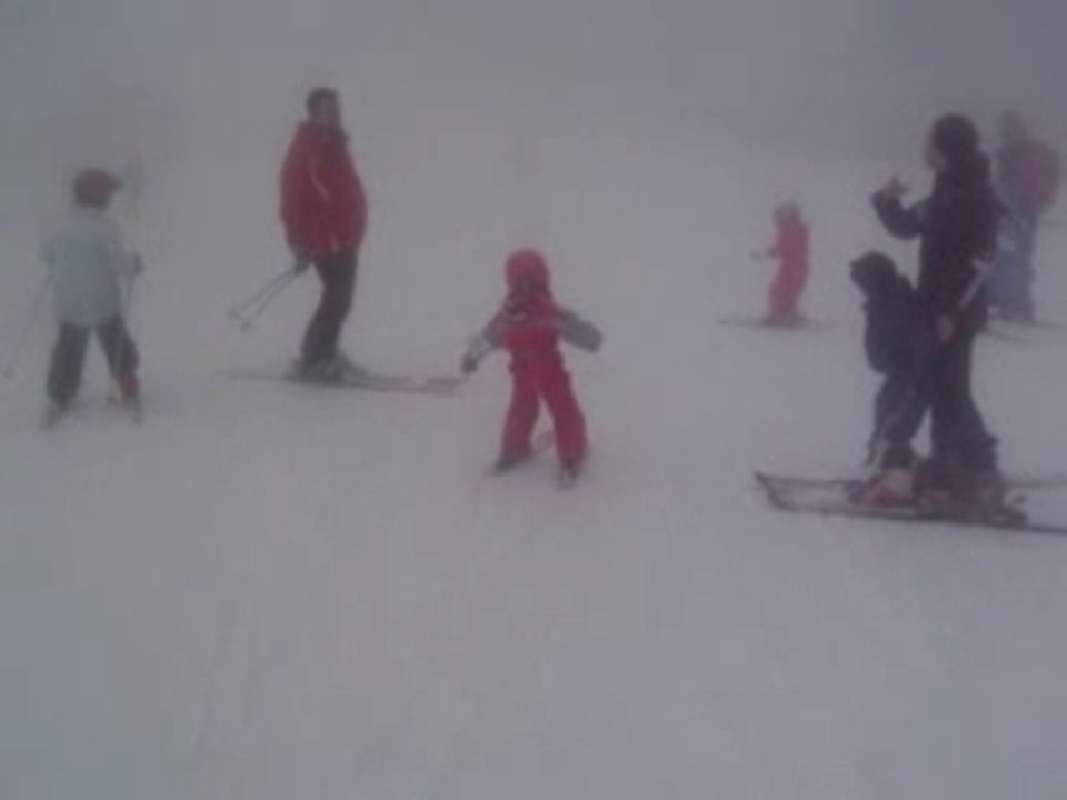 Romane descend la verte