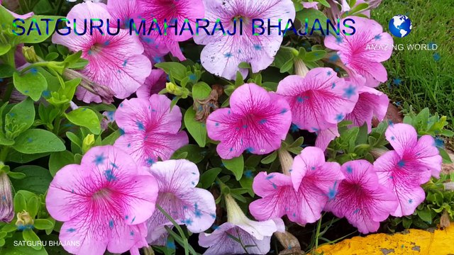 सतगुरुजी का भजन | Prem rawat bhajan | Jag me satguru sam koi nahi bhajan | Satguru maharaji bhajans | Guru maharaji bhajan