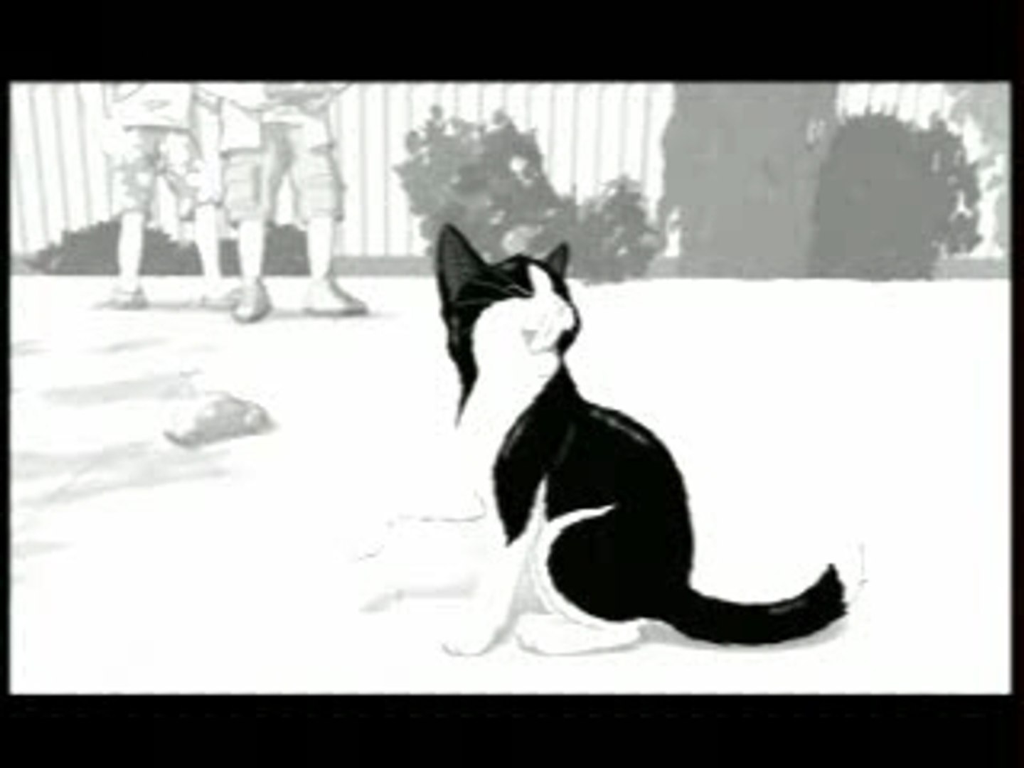 Pub Felix Pour Chat Pub 08 Video Dailymotion