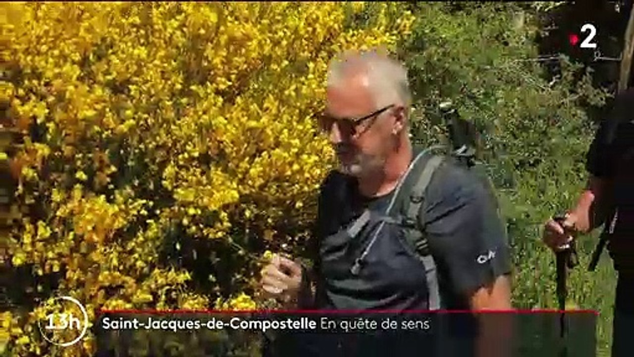 Saint-Jacques de Compostelle : un chemin qui donne du sens