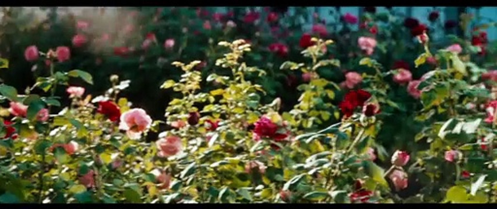 Der Rosengarten von Madame Vernet Film