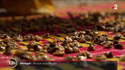 Sénégal : à la découverte de l'île-coquillage