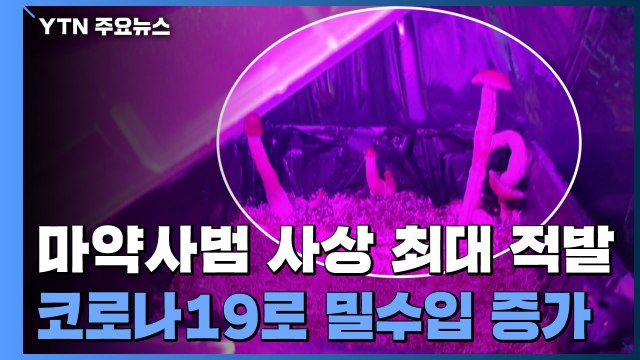 지난해 마약사범 '역대 최다'...코로나19로 밀수입 증가 / YTN